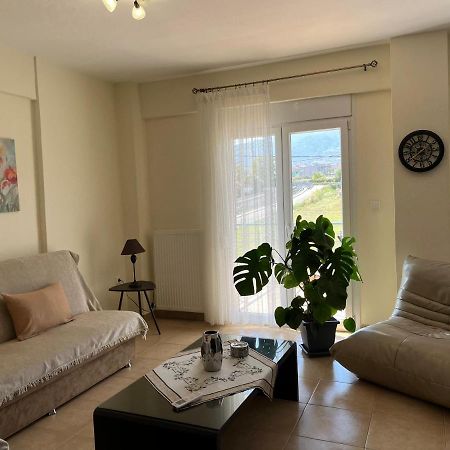 Olympian Two Floor Apartment Leptokaryá Extérieur photo